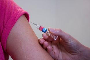 孕妇牙痛得睡不着能拔牙和治疗吗 孕妇牙痛得睡不着能拔牙和治疗吗